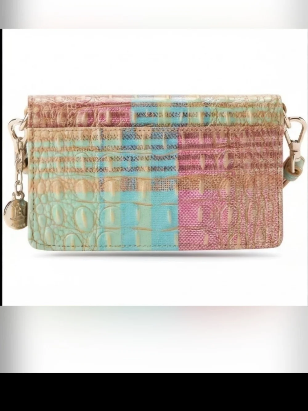 Nwt Brahmin Multicolor Leather Crossbody Wallet And BRAHMIN CONDITIONER.